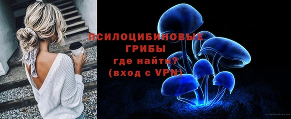 СК Кодинск