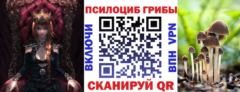 купить закладку  Няндома  Галлюциногенные грибы Psilocybine cubensis 
